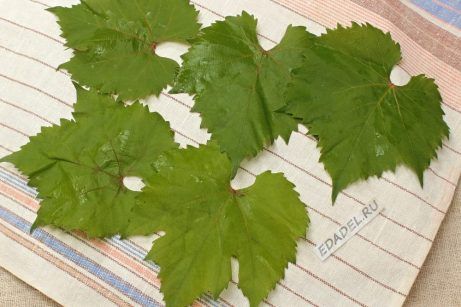 Виноградные листья для долмы на зиму - фото шаг 3